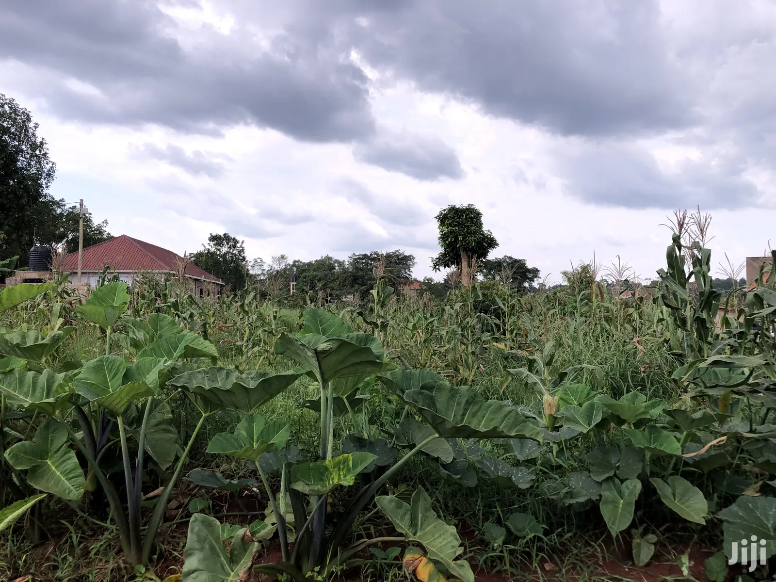 Quick Sale,Kira Titled Plot Close To Tarmack in Kampala