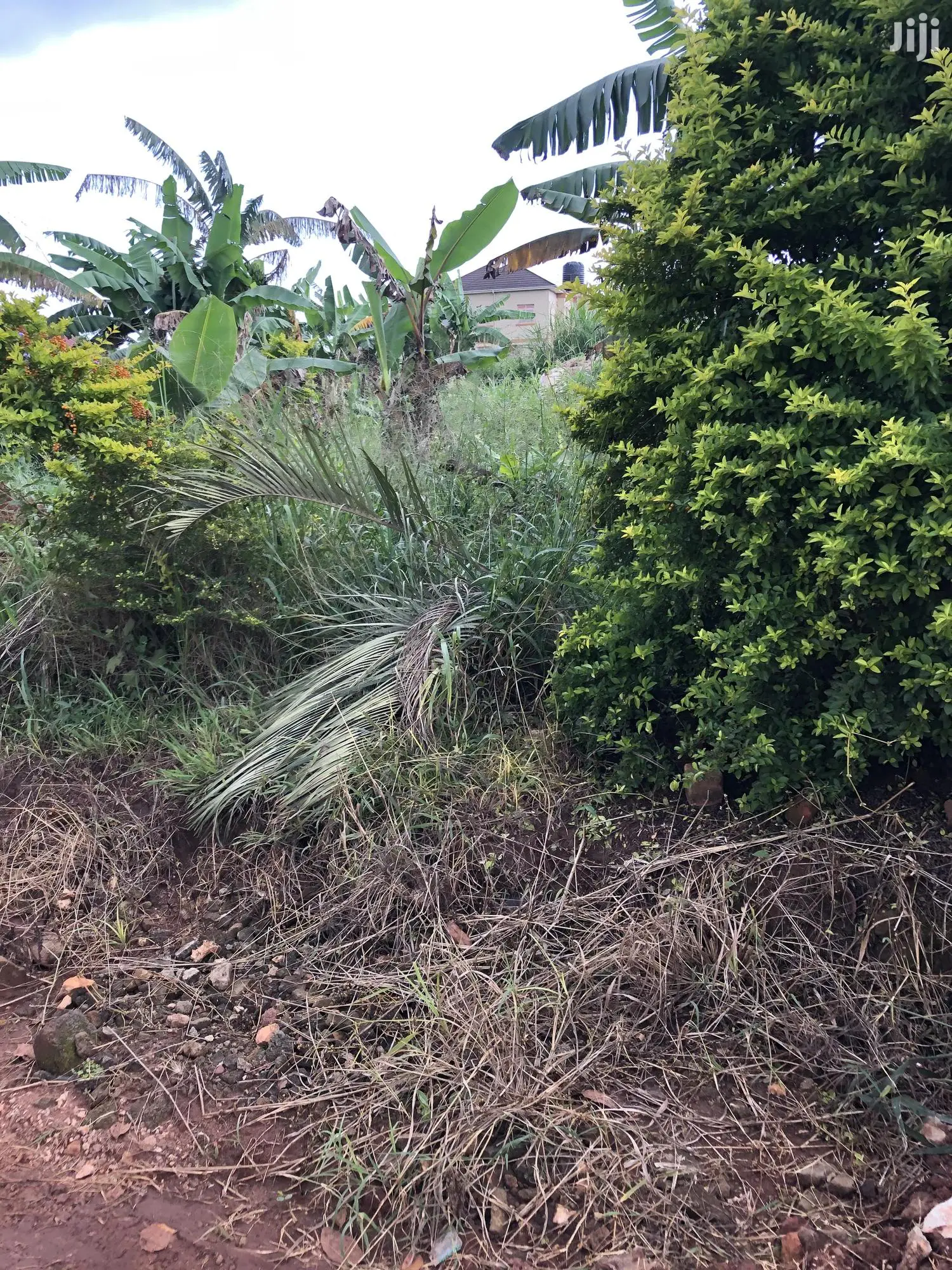 Quick Sale,Kira Titled Plot Close To Tarmack in Kampala