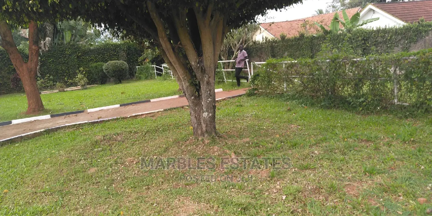 Nice House in Bugolobi For Rent in Kampala