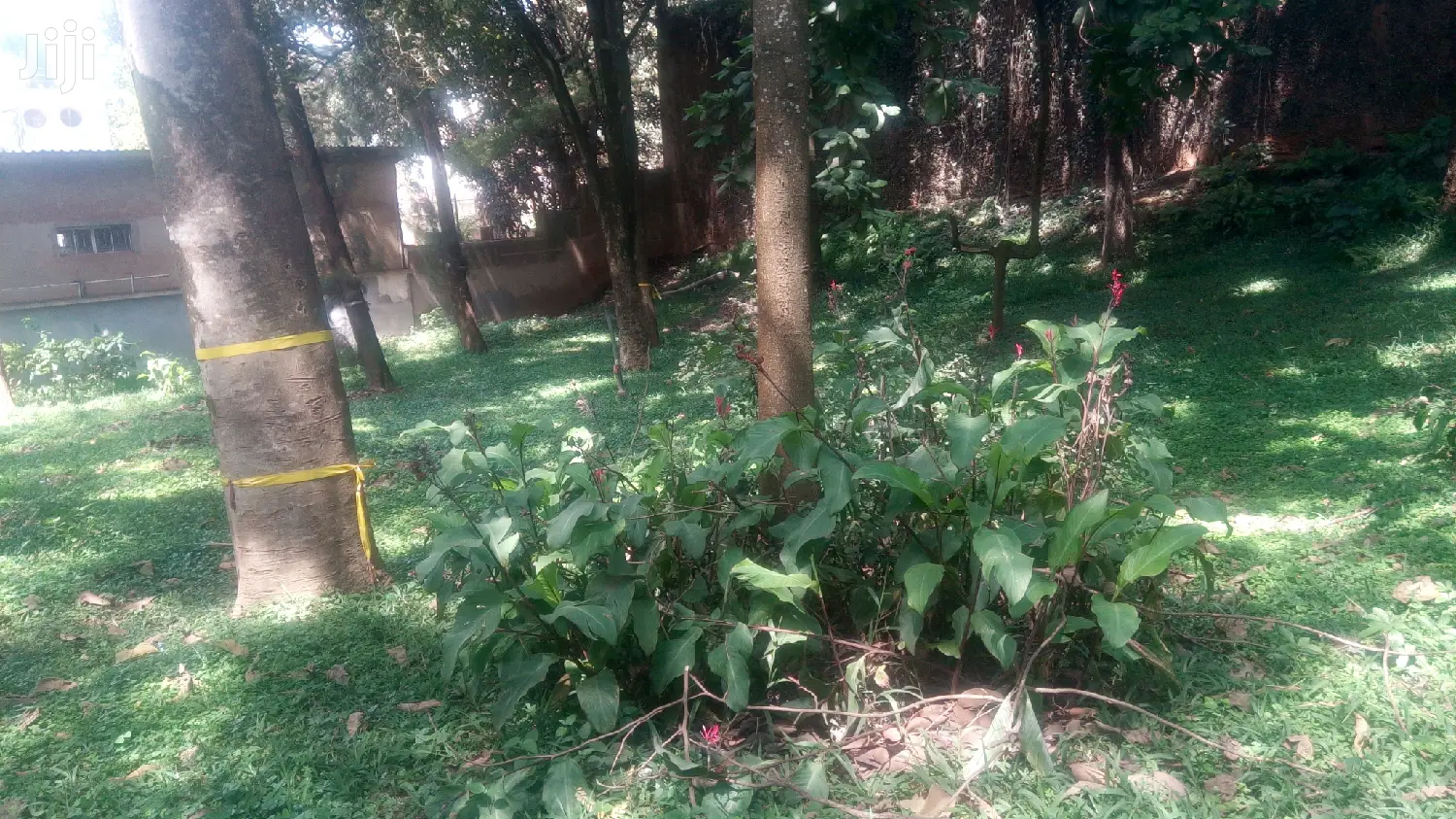Storeyed Masion in Kampala