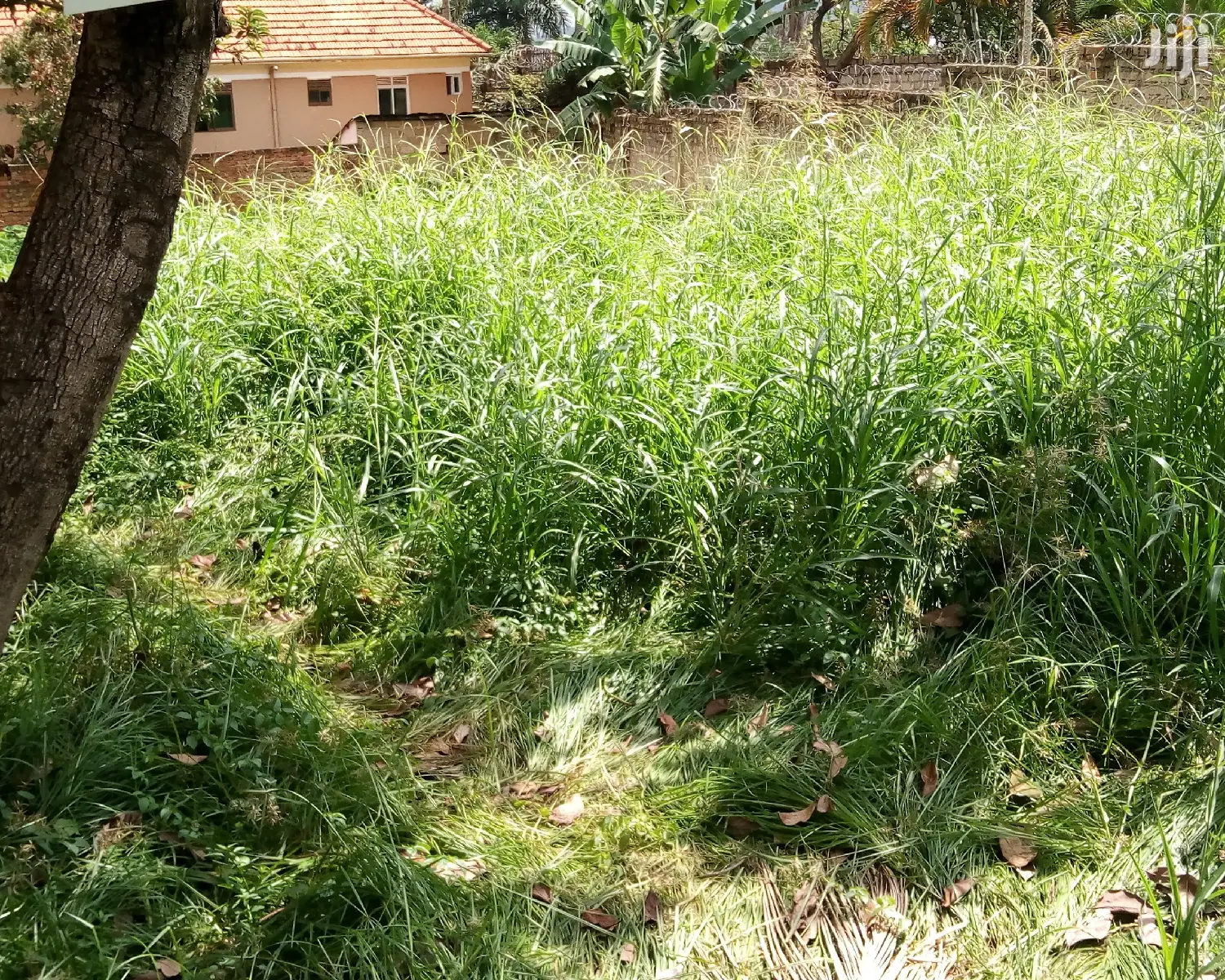 Naguru Plot Is for Sale in Kampala
