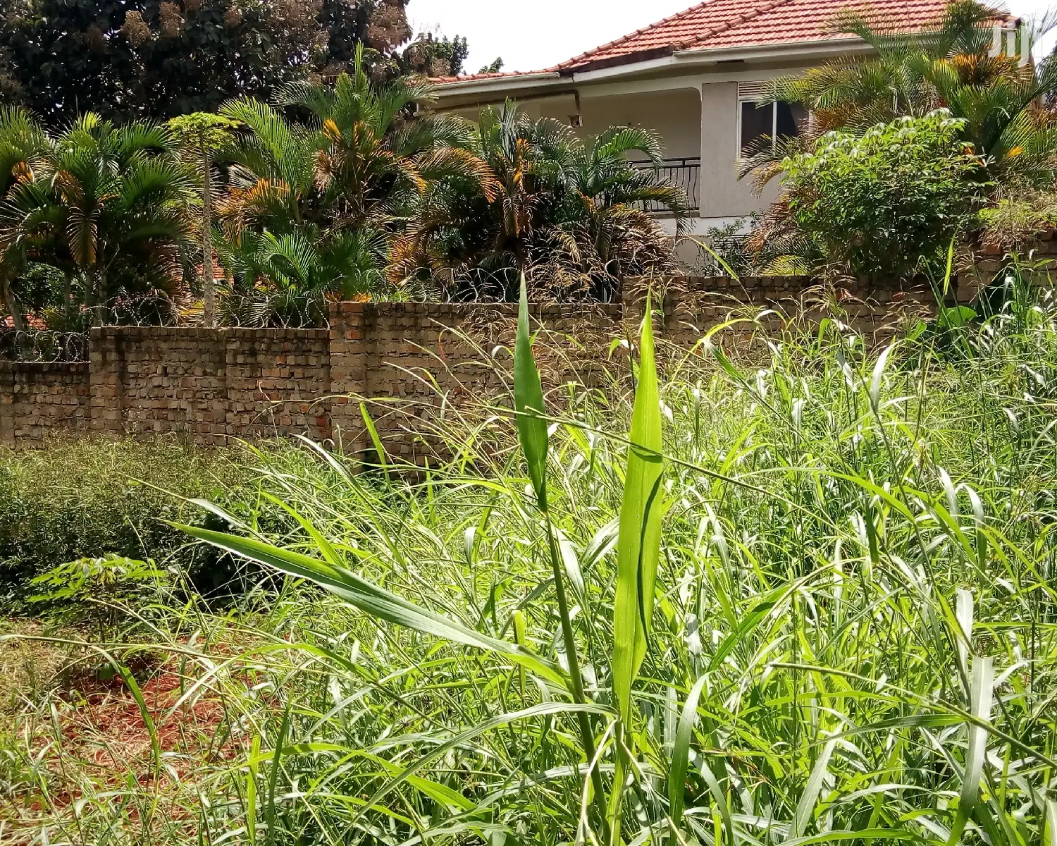 Naguru Plot Is for Sale in Kampala
