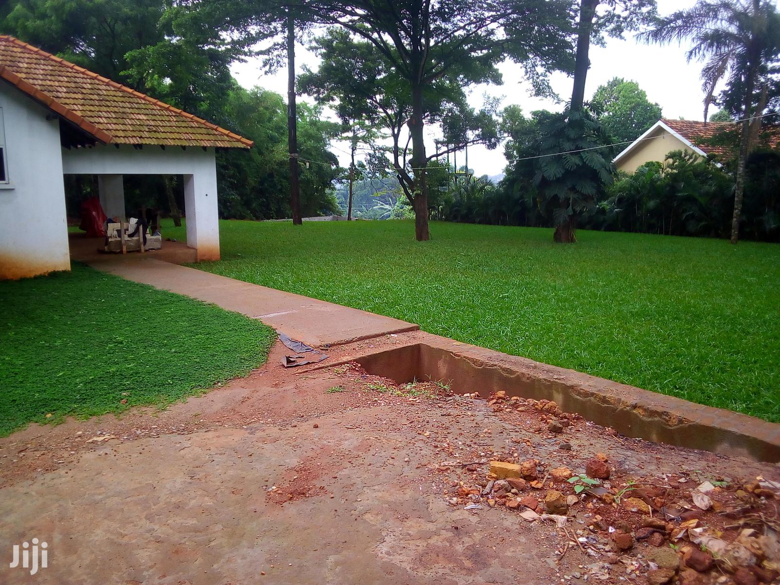 Five Bedroom House In Kololo For Rent in Kampala