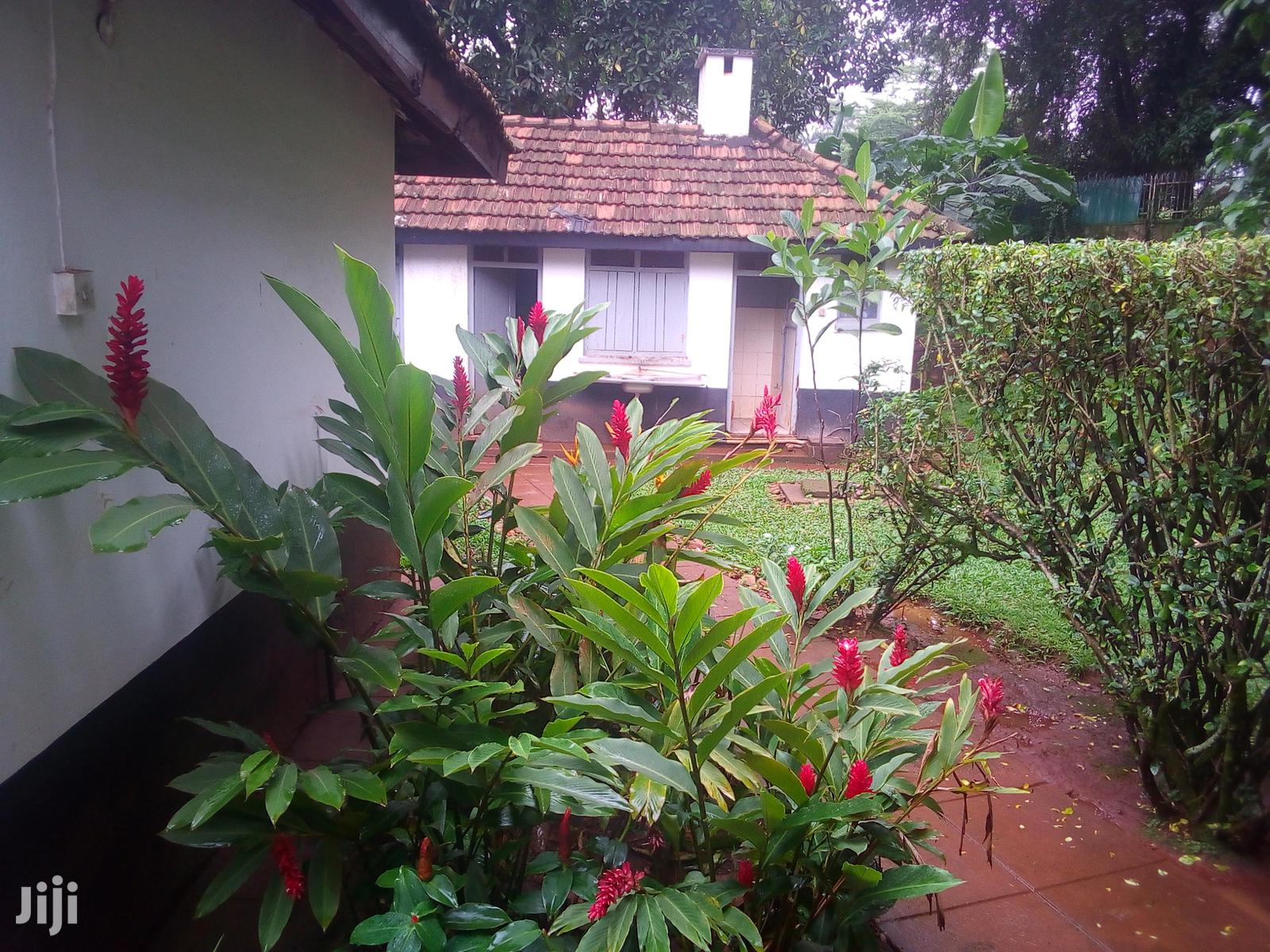 Three Bedroom House In Kololo For Rent in Kampala