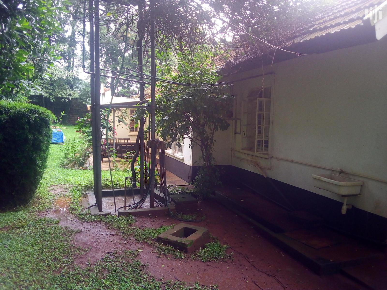 Three Bedroom House In Kololo For Rent in Kampala