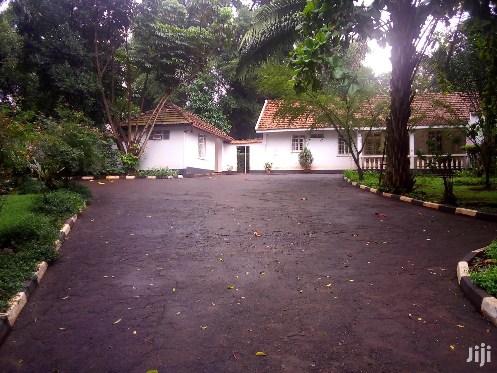 Three Bedroom House In Kololo For Rent in Kampala
