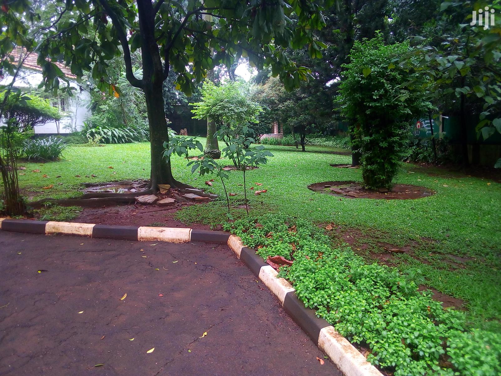 Three Bedroom House In Kololo For Rent in Kampala