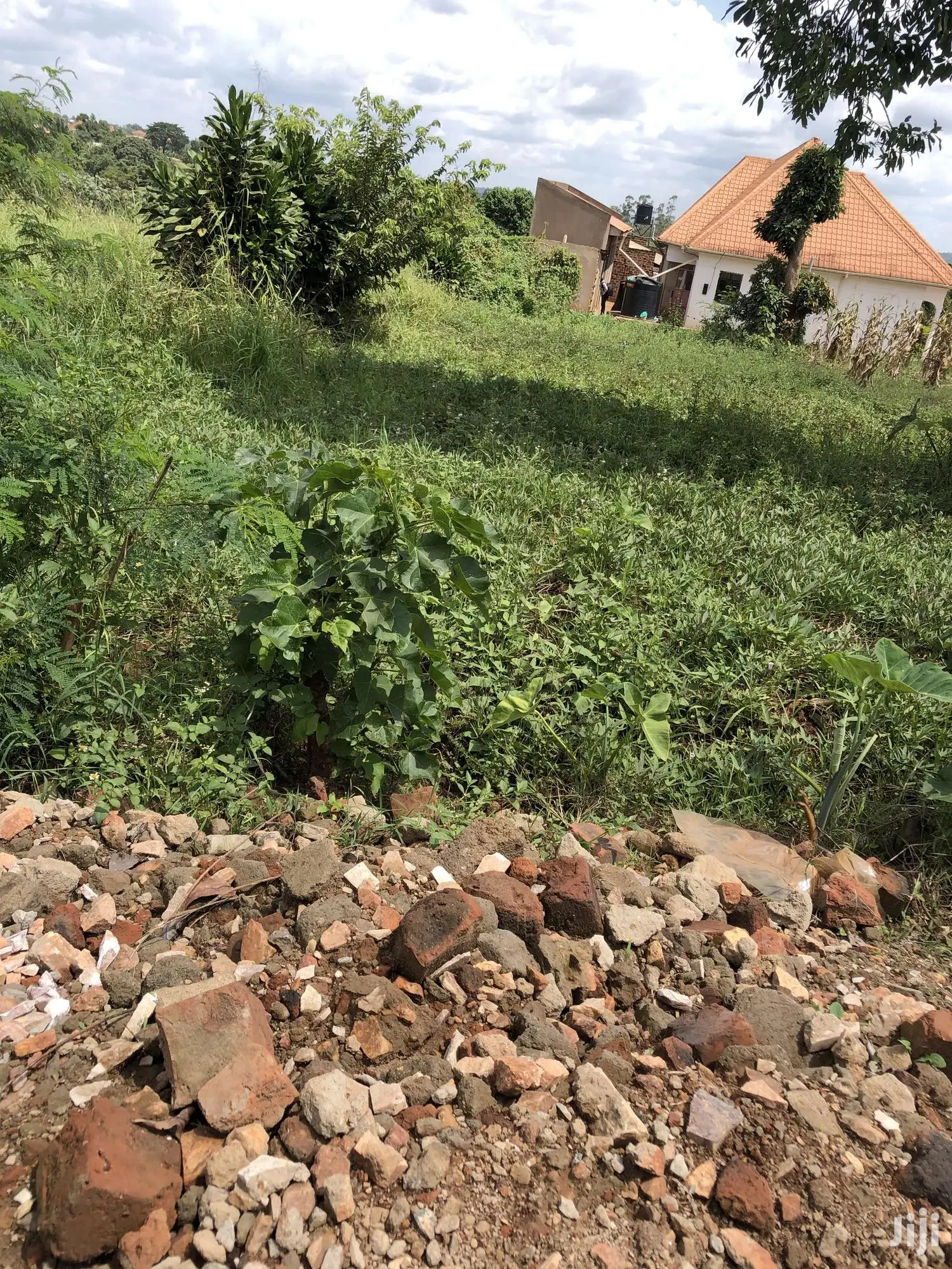 Kiira Kimwani 25 Decimals Land Near Tarmac For Sale in Kampala