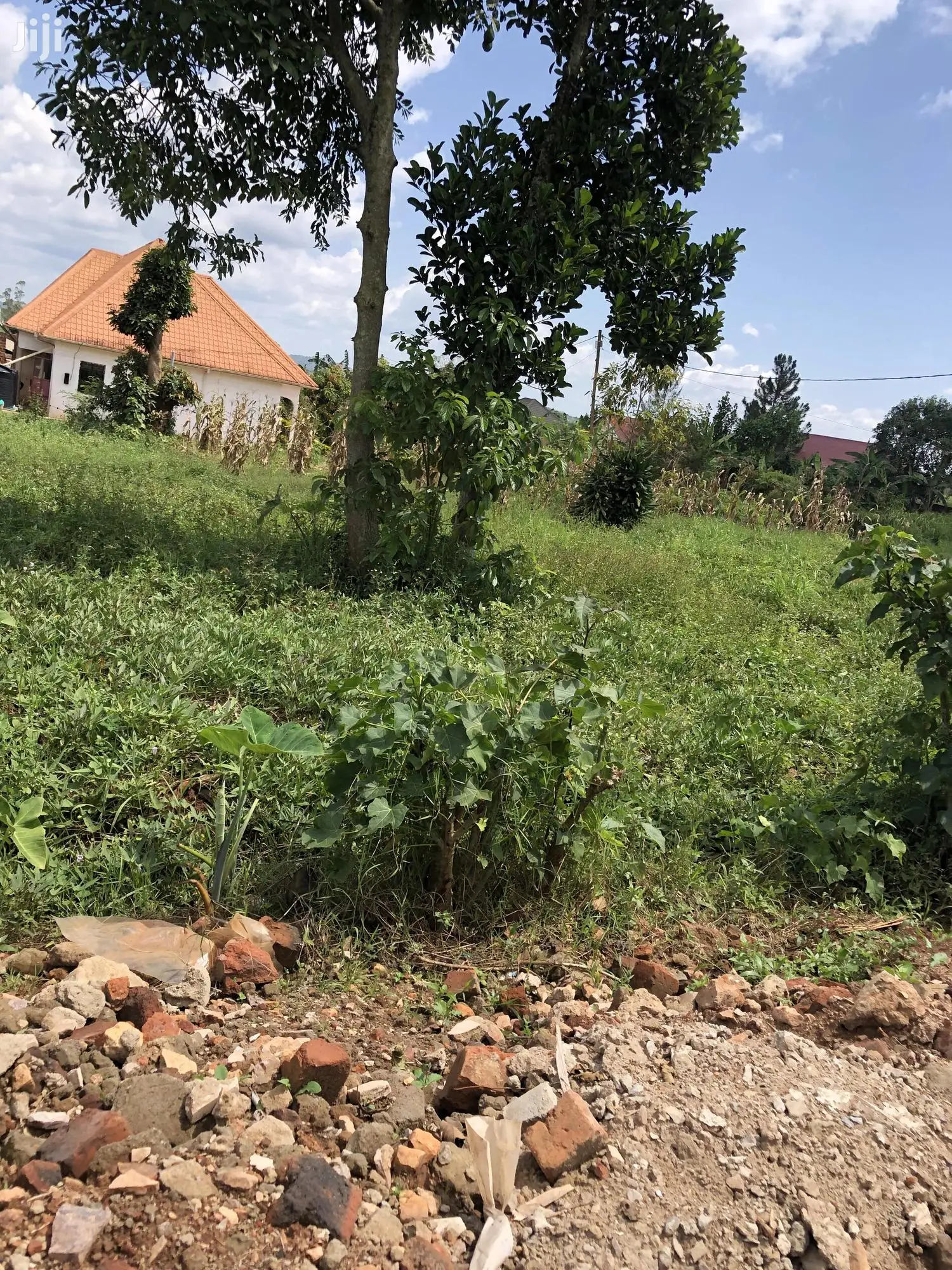Kiira Kimwani 25 Decimals Land Near Tarmac For Sale in Kampala