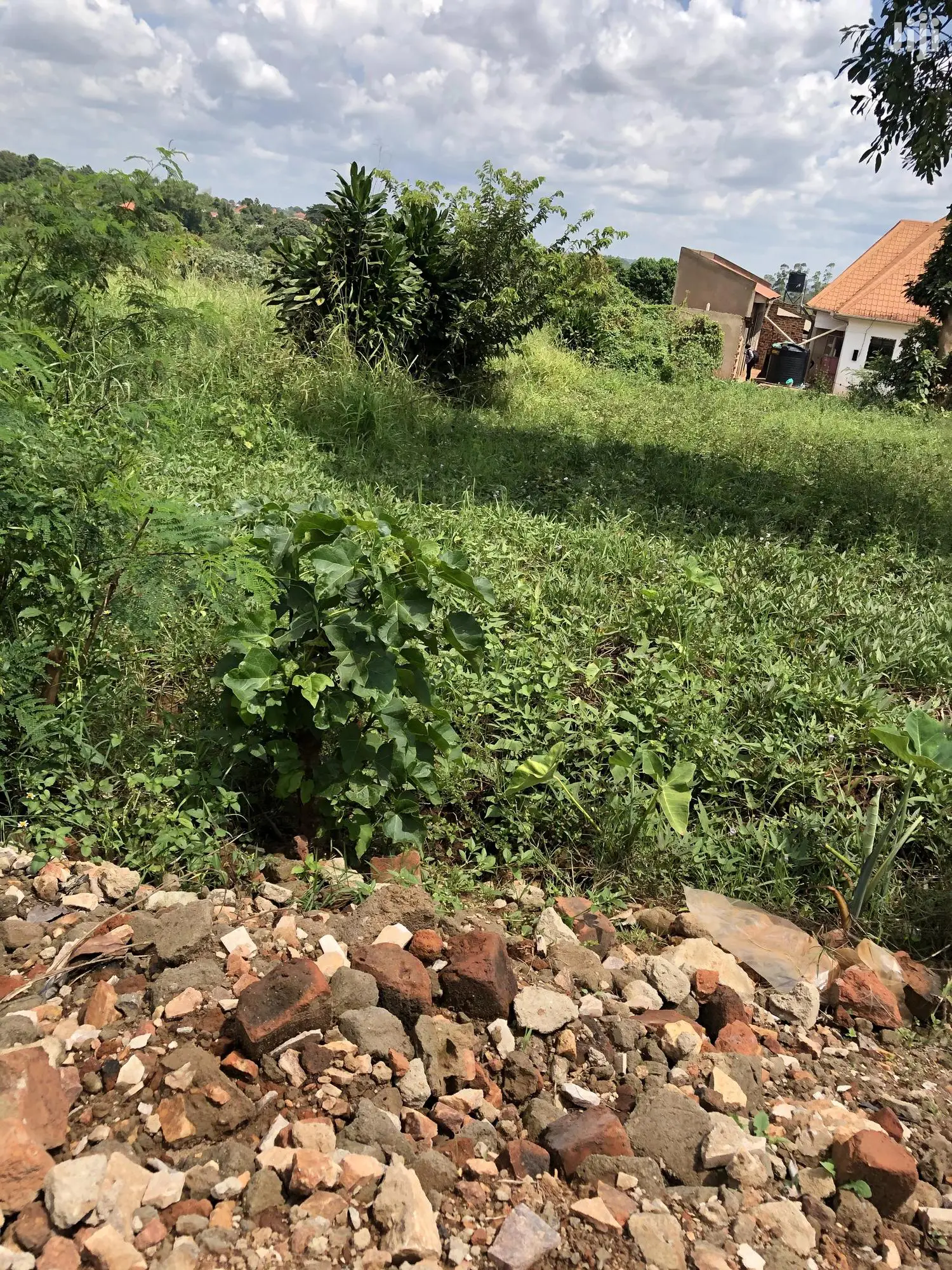 Kiira Kimwani 25 Decimals Land Near Tarmac For Sale in Kampala