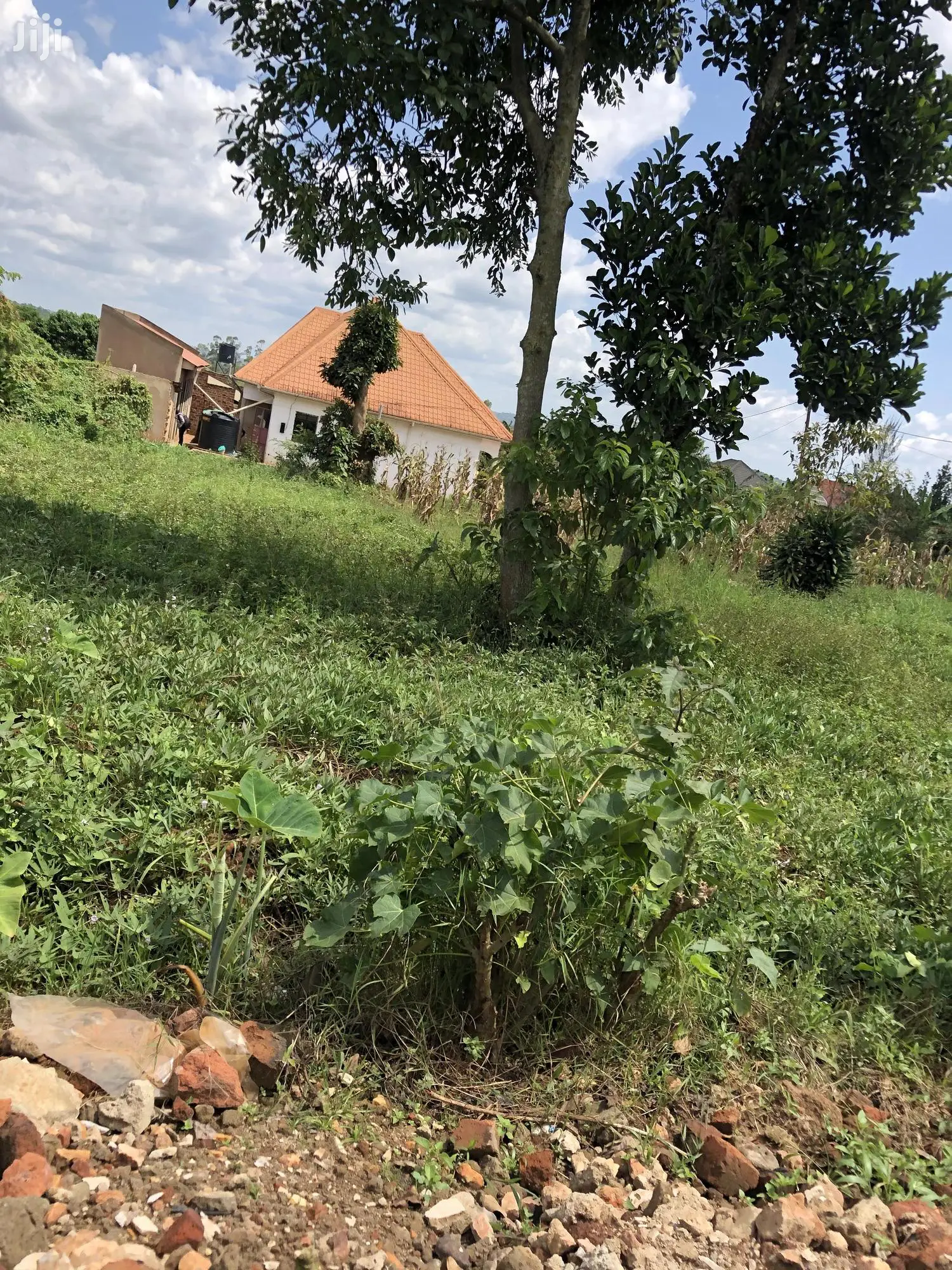 Kiira Kimwani 25 Decimals Land Near Tarmac For Sale in Kampala