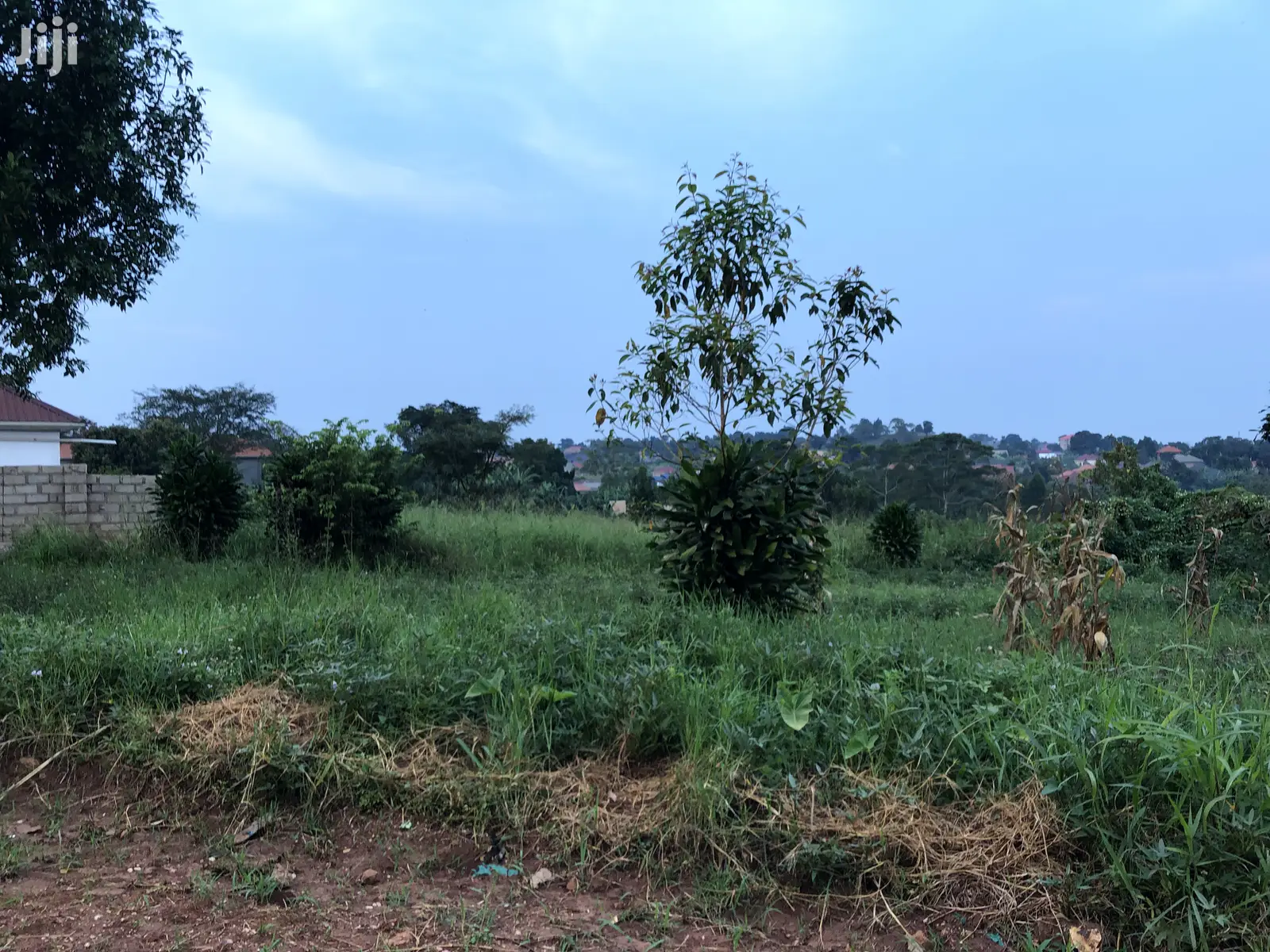 25 Decimals in Kira Kimwani Near Tarmac on Quick Sale in Kampala