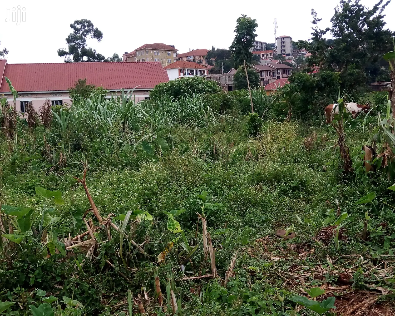 Kisasi Plot Is for Sale in Kampala