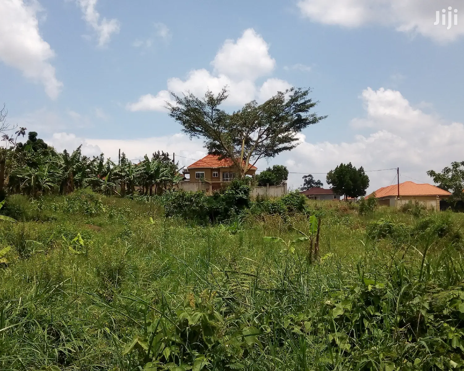 20 Decimals Land for Sale in Kungu in Kampala