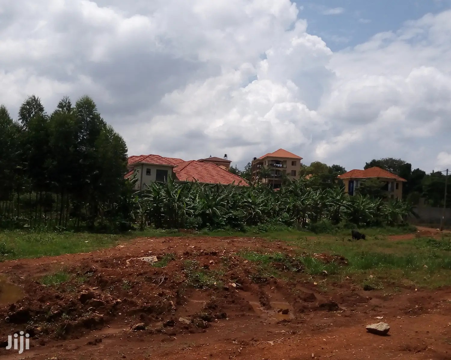 20 Decimals Land for Sale in Kungu in Kampala