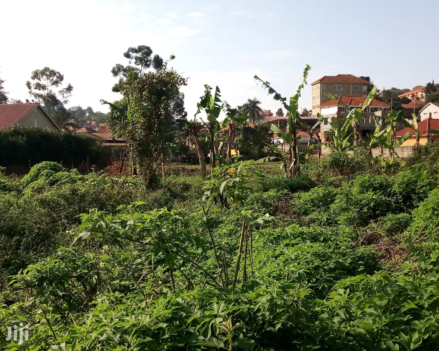 30 Decimals Land For Sale In Kungu in Central Division
