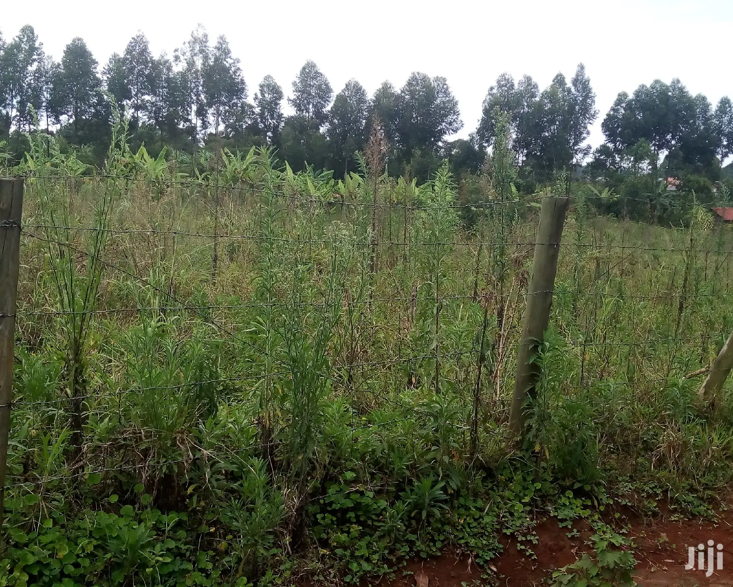 30 Decimals Land For Sale In Kungu in Central Division