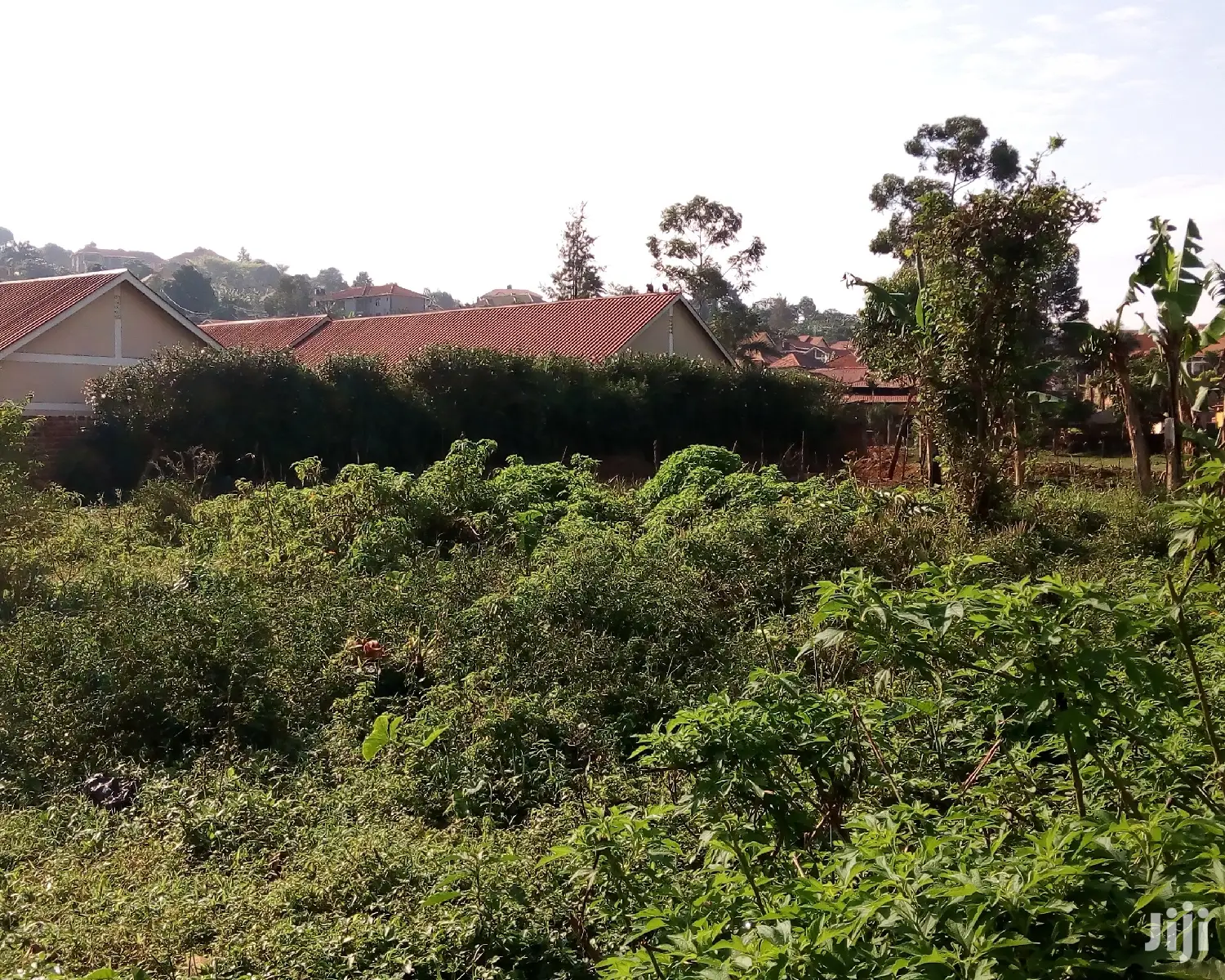 30 Decimals Land For Sale In Kungu in Central Division
