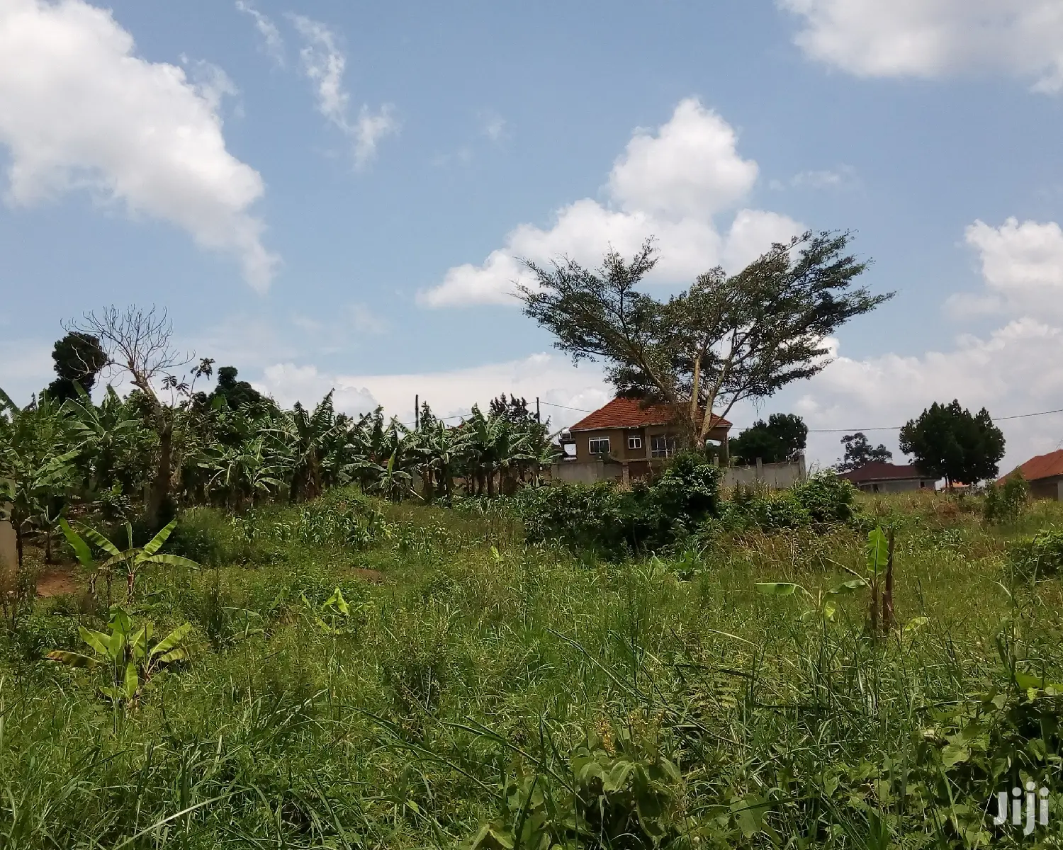 30 Decimals Land For Sale In Kungu in Central Division