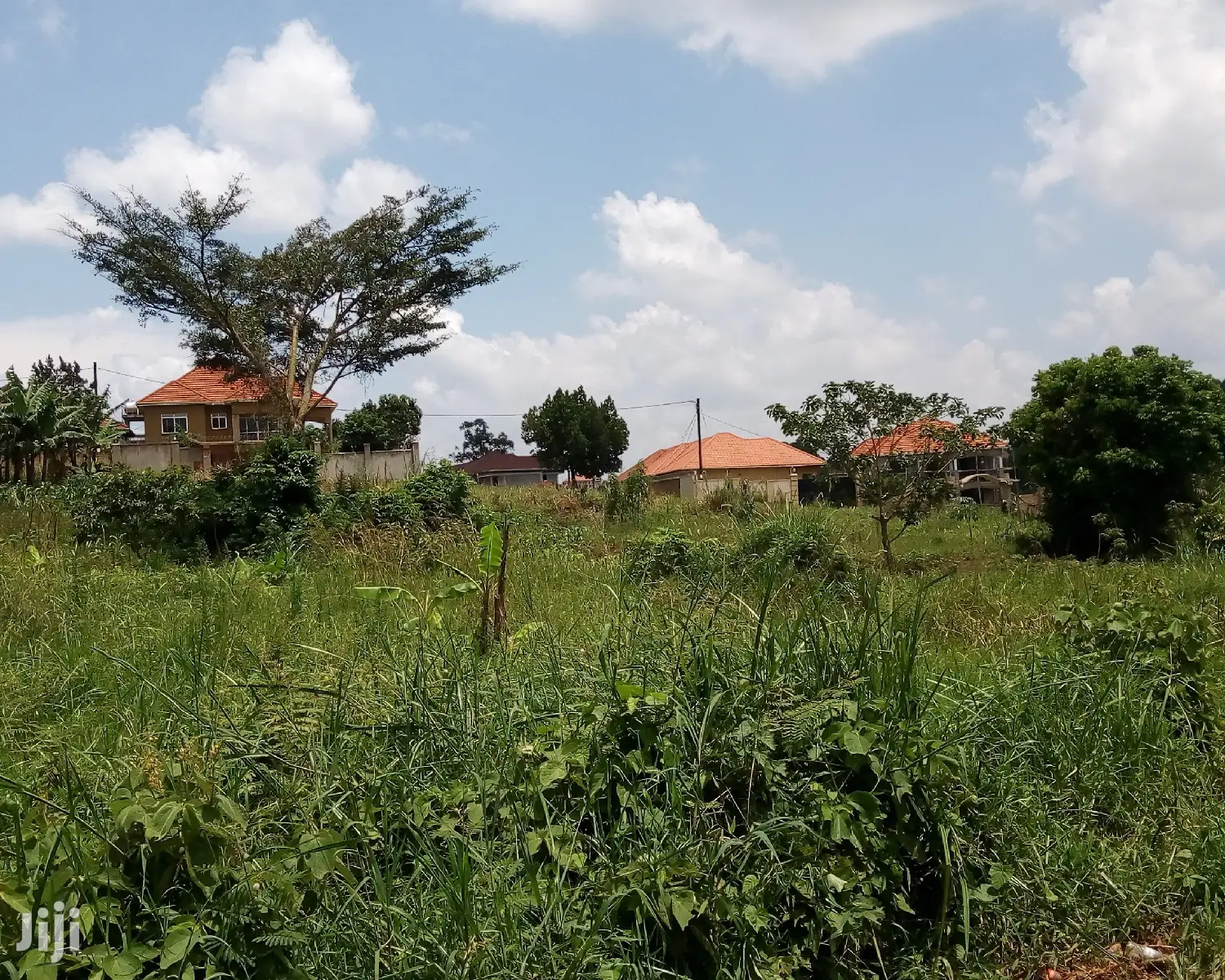 30 Decimals Land For Sale In Kungu in Central Division
