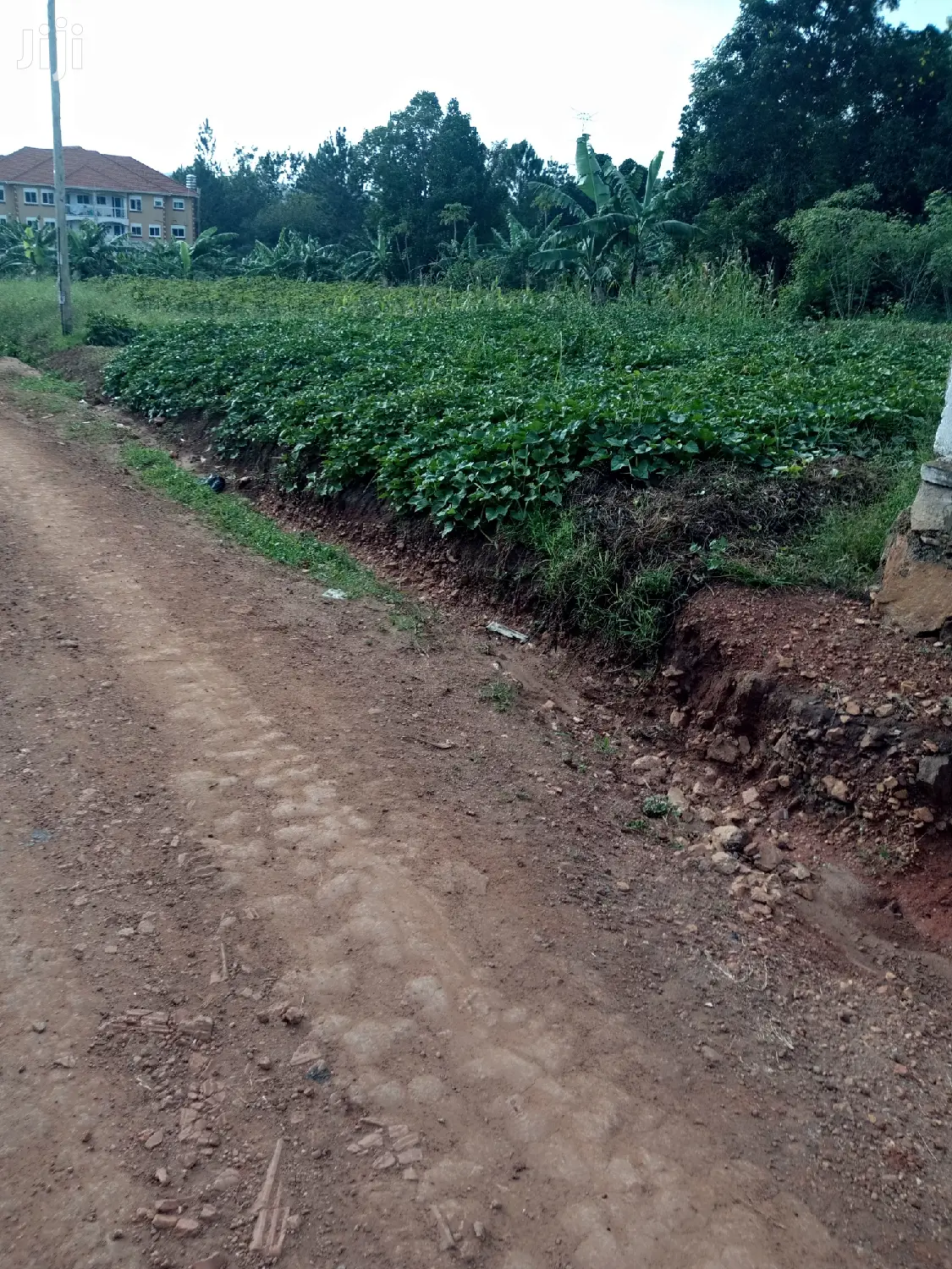 Kira Pretty Plot Near Tarmack on Sell in Kampala