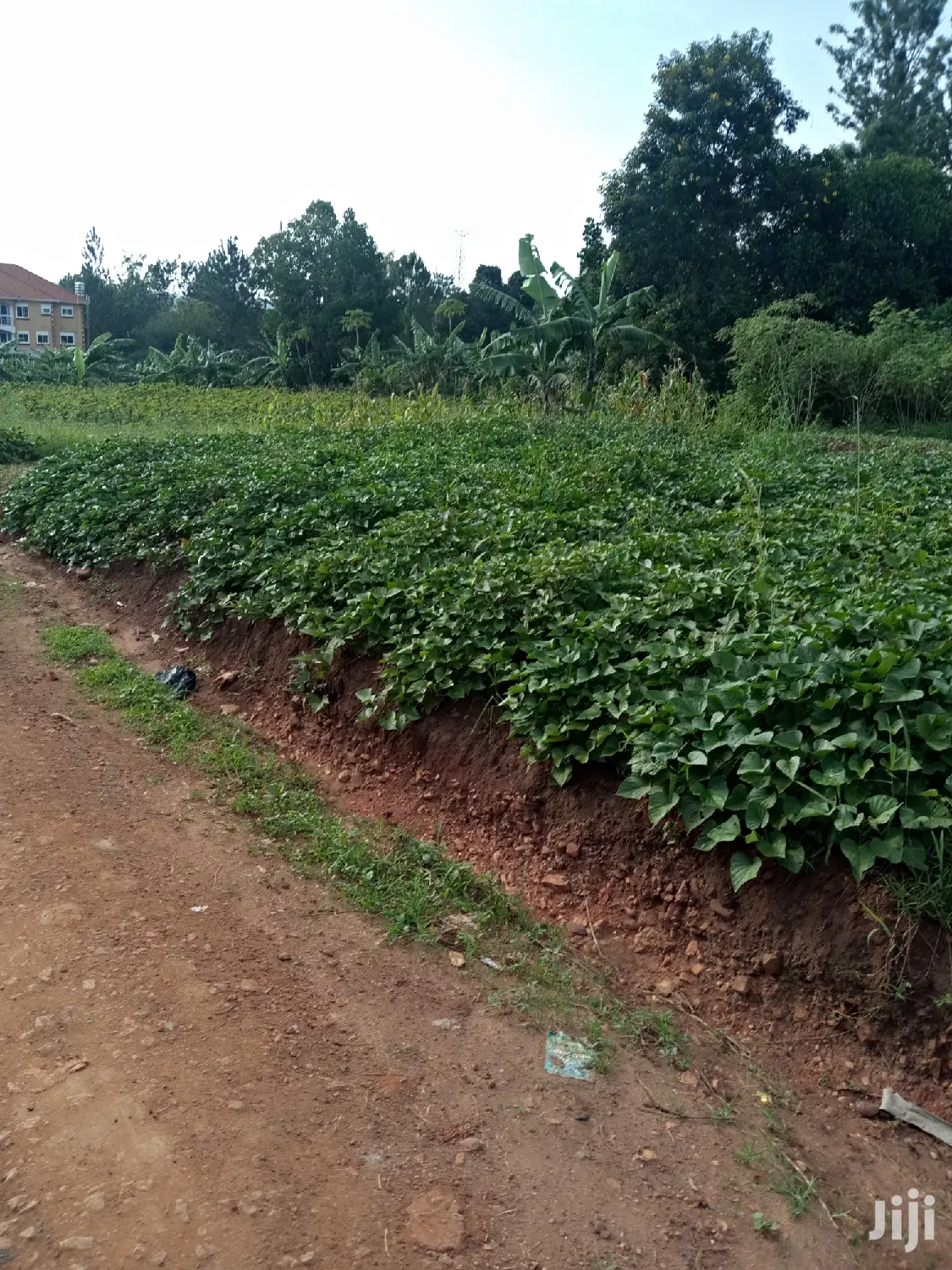 Kira Pretty Plot Near Tarmack on Sell in Kampala