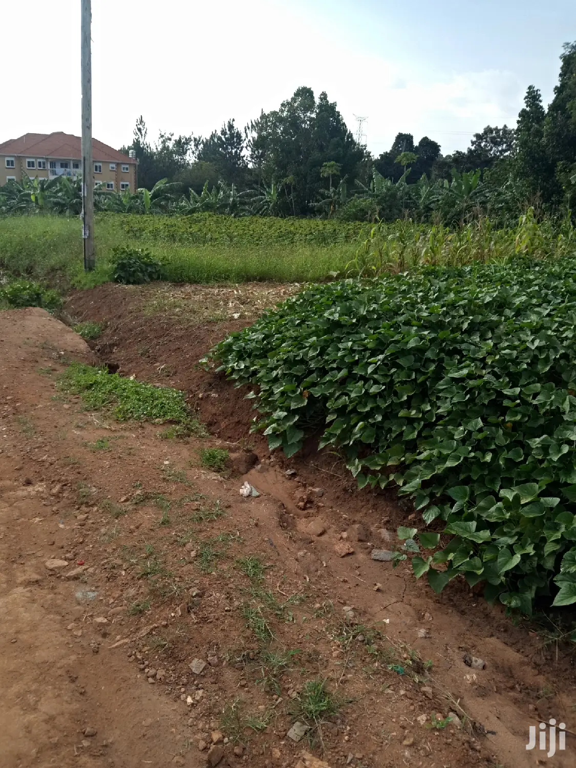 Kira Pretty Plot Near Tarmack on Sell in Kampala