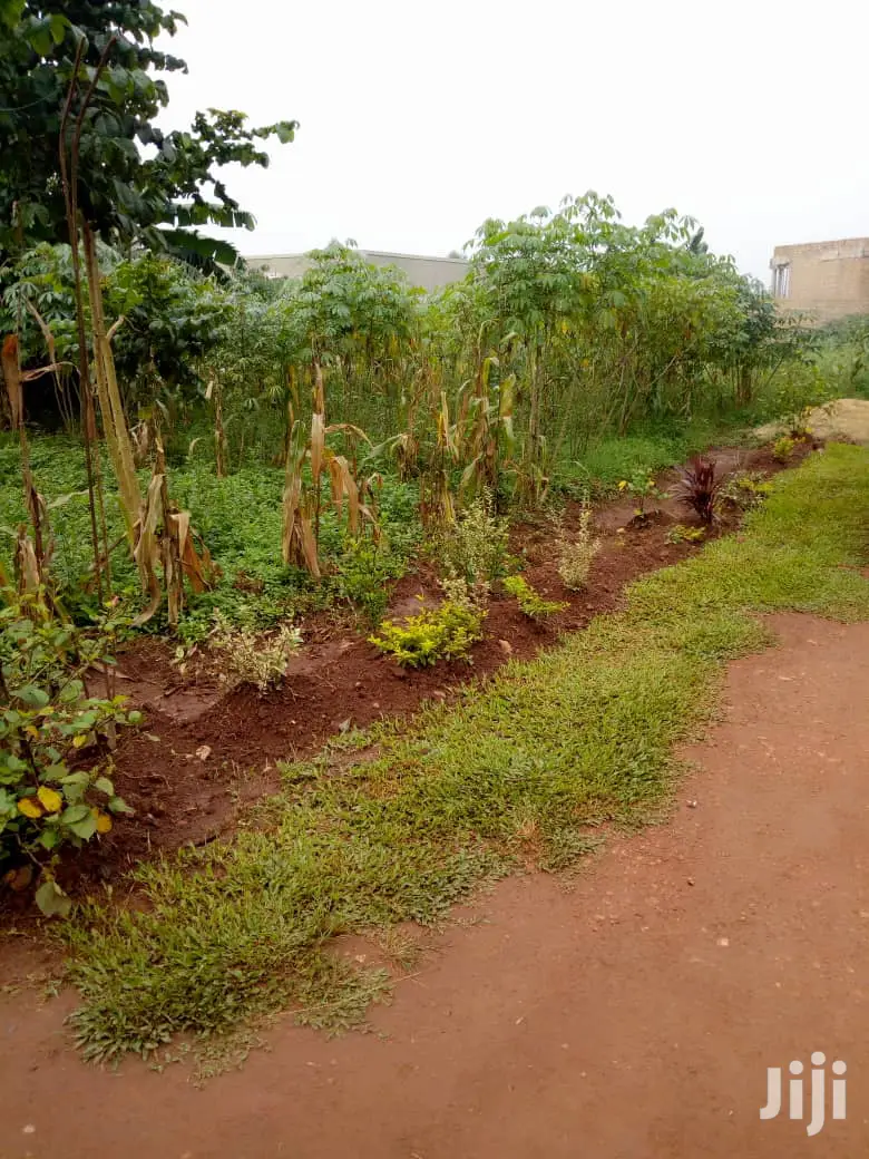 Plots for Sale in Wakiso in Wakiso