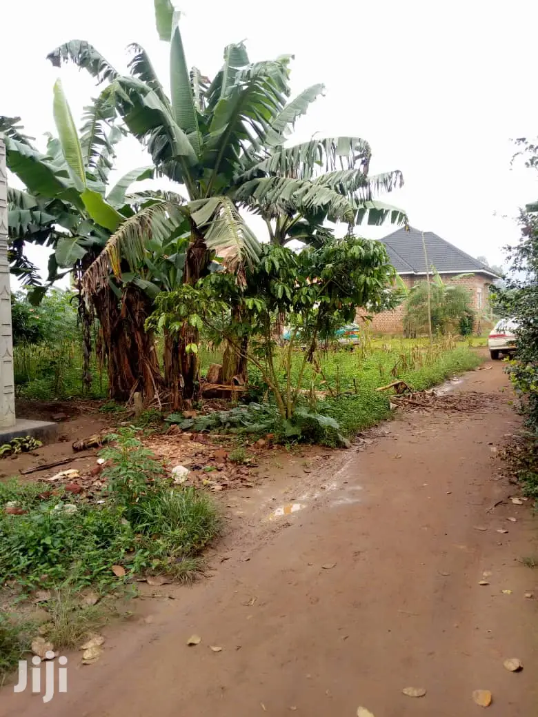 Plots for Sale in Wakiso in Wakiso
