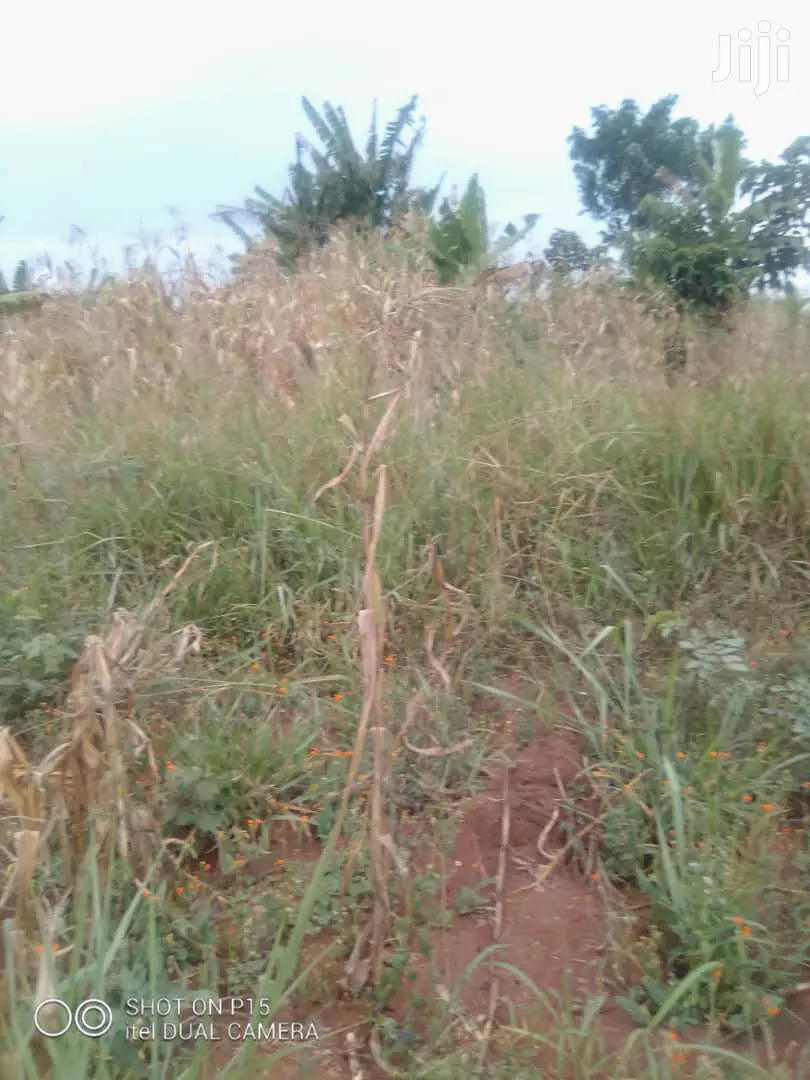 Plot for Sale in Wakiso Gobero in Wakiso