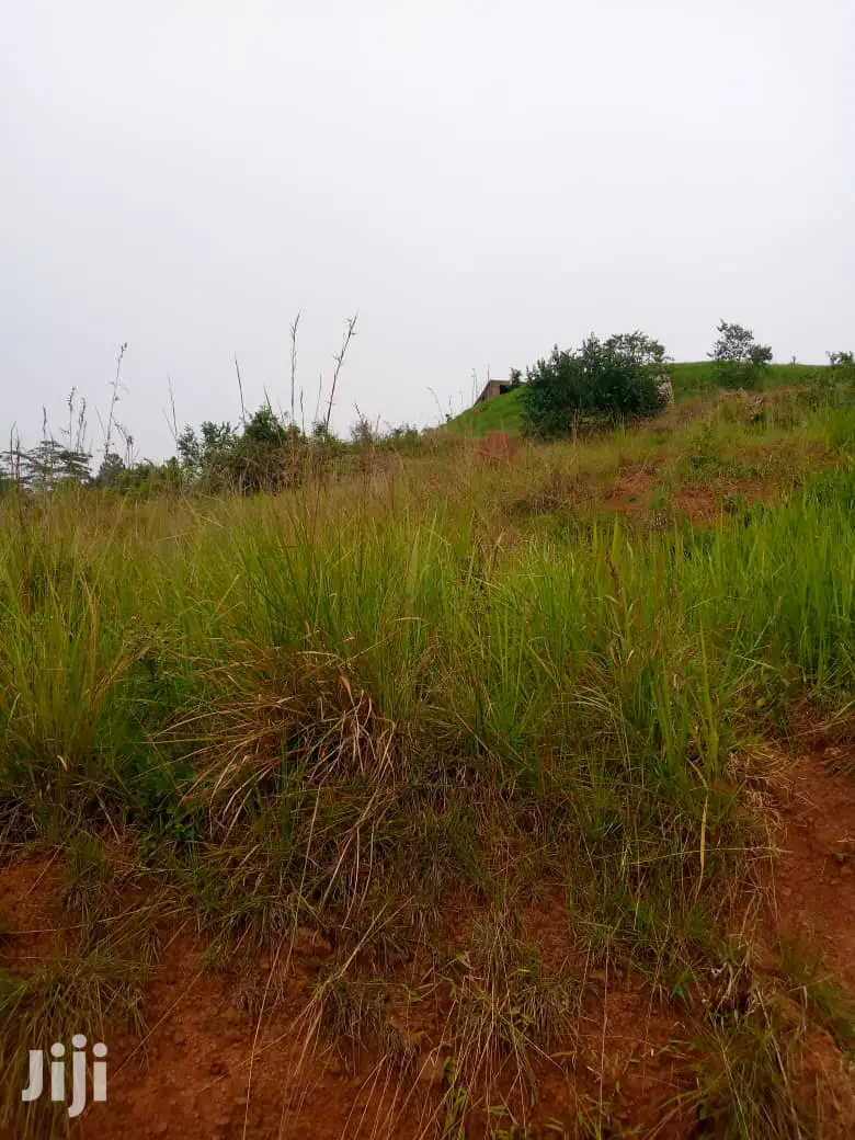 Plot for Sale in Wakiso Gobero in Wakiso