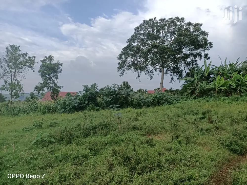 Plot for Sale in Wakiso Gobero in Wakiso