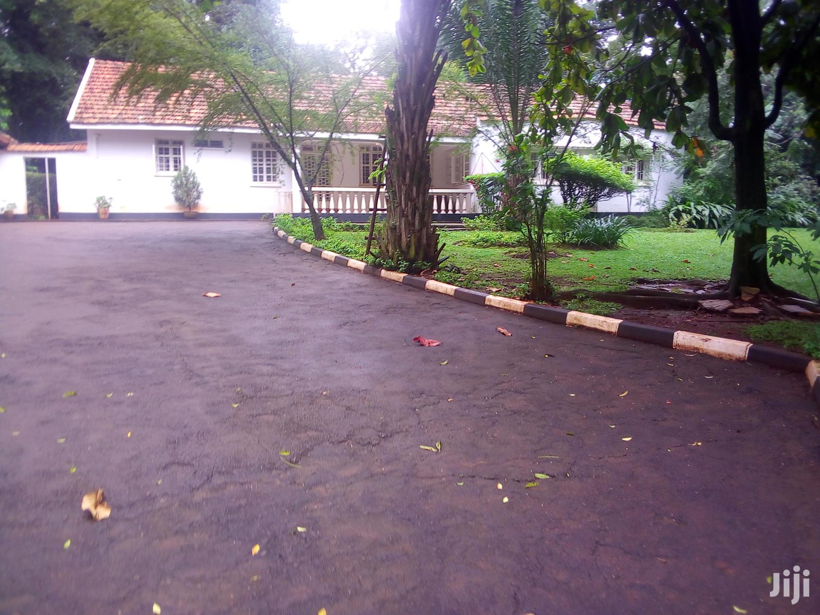 Three Bedroom House In Kololo For Rent in Kampala