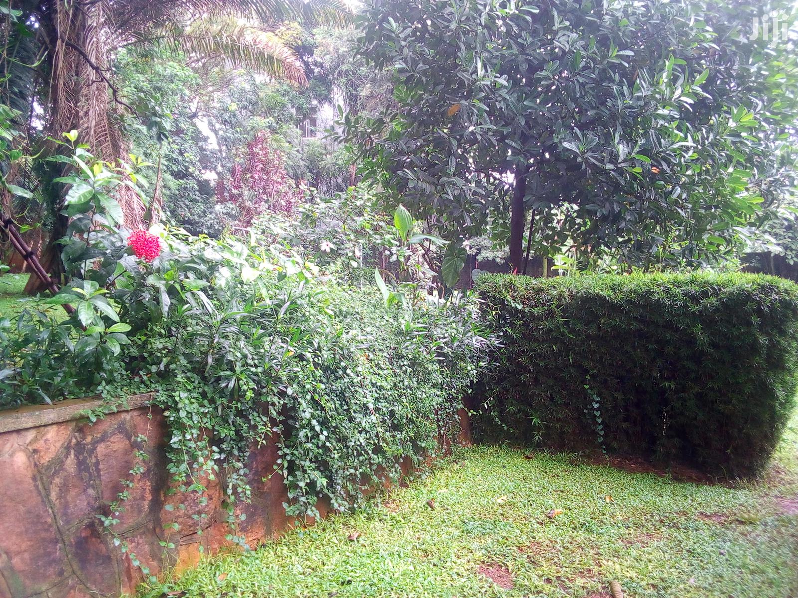 Three Bedroom House In Kololo For Rent in Kampala