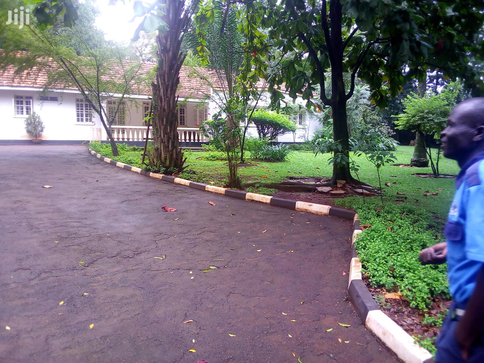 Three Bedroom House In Kololo For Rent in Kampala
