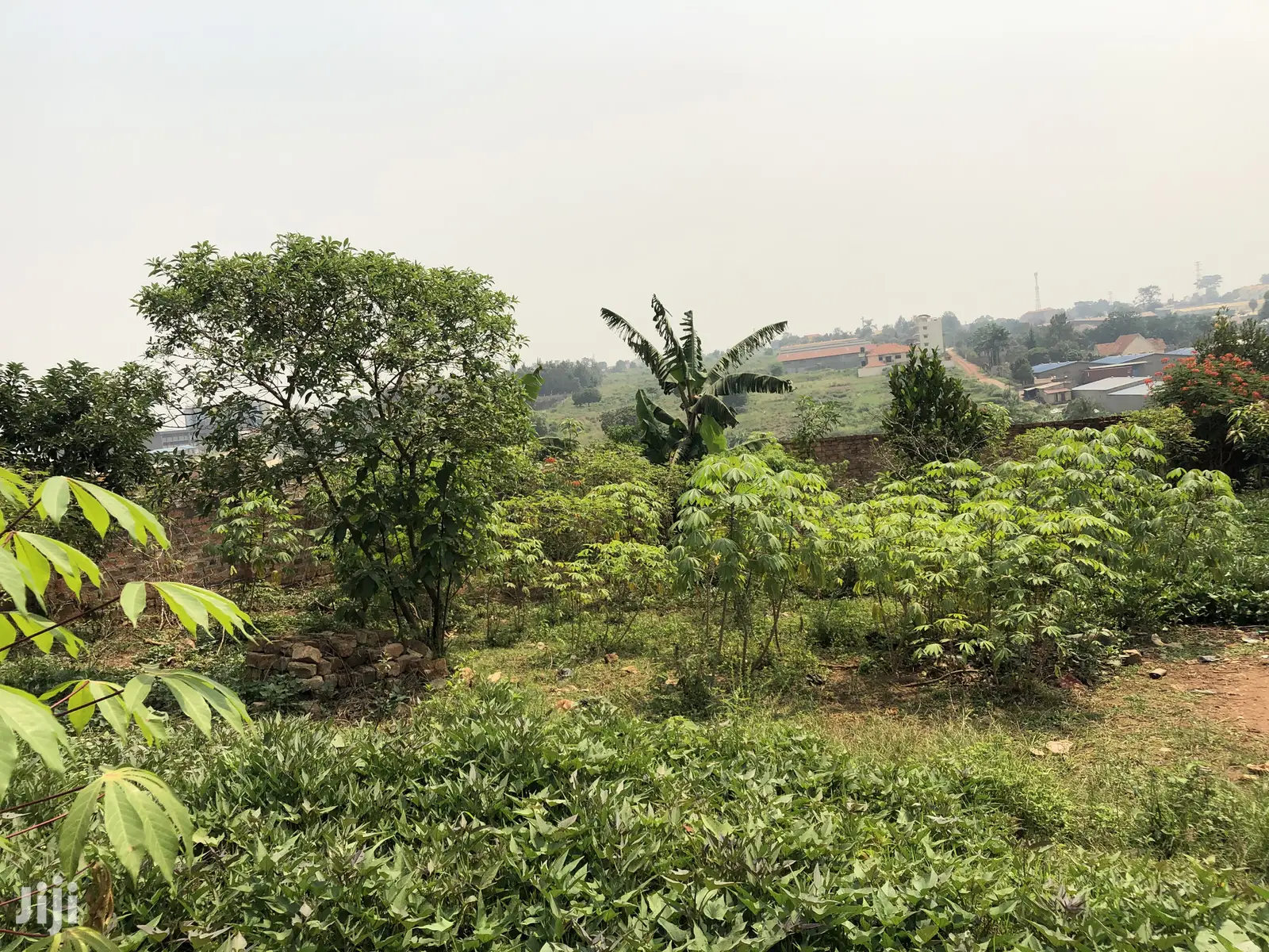 Kiira Kimwani 25 Decimals Near Tarmack Posh Land on Sale in Kampala