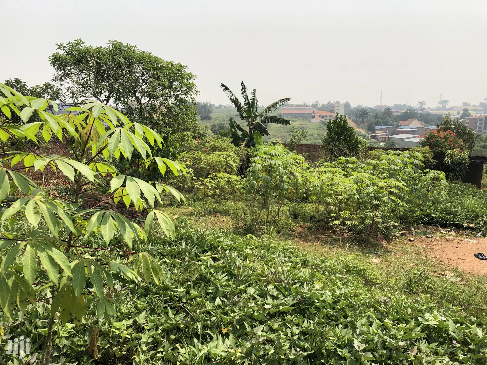 Kiira Kimwani 25 Decimals Near Tarmack Posh Land on Sale in Kampala