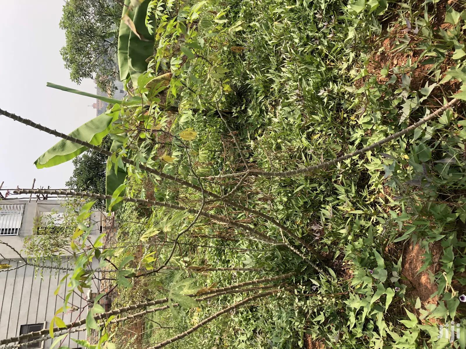 Kiira Kimwani 25 Decimals Near Tarmack Posh Land on Sale in Kampala
