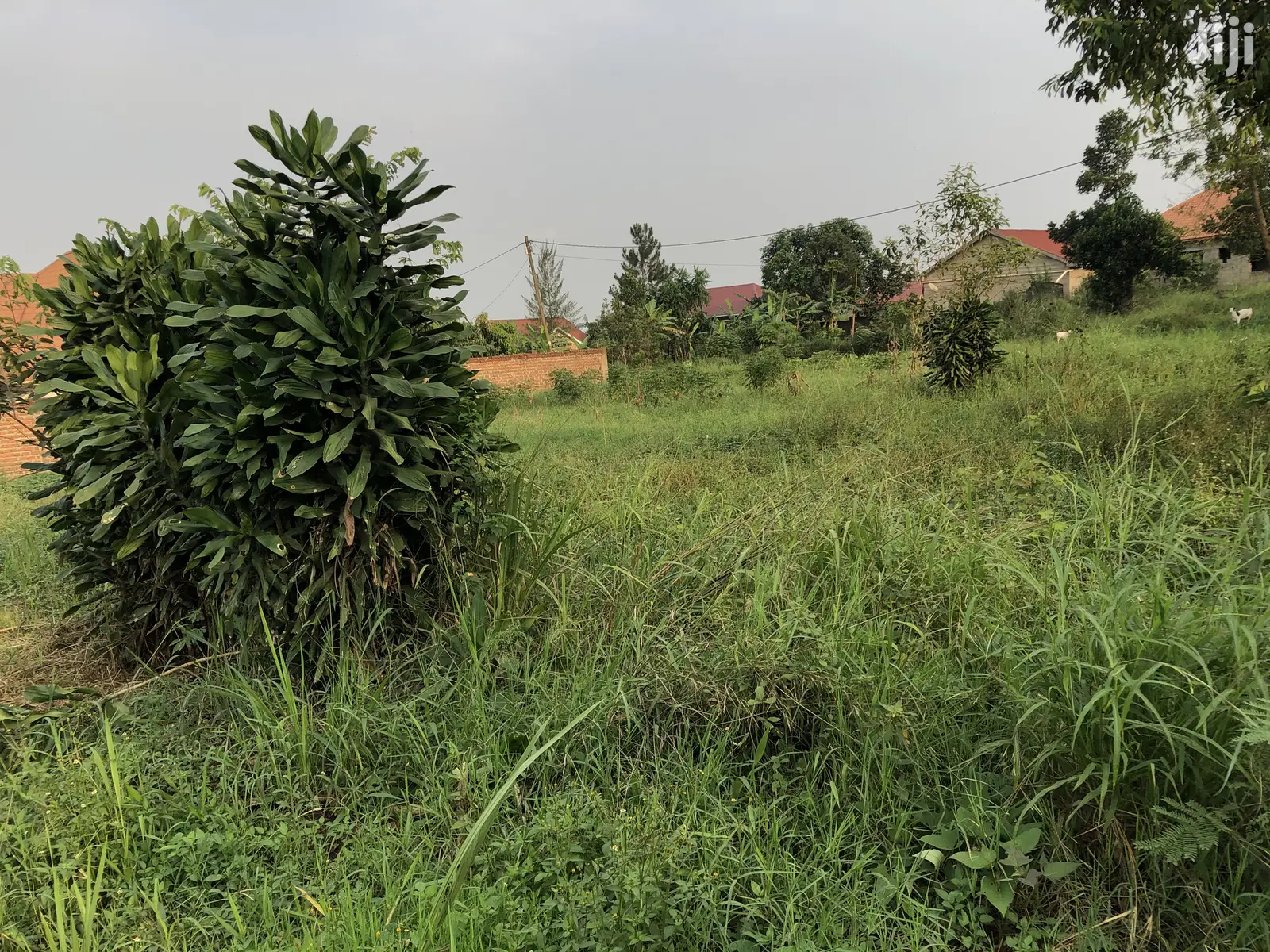 Kira Kimwani Near the Tarmack 25 Dec Plot on Sell in Kampala