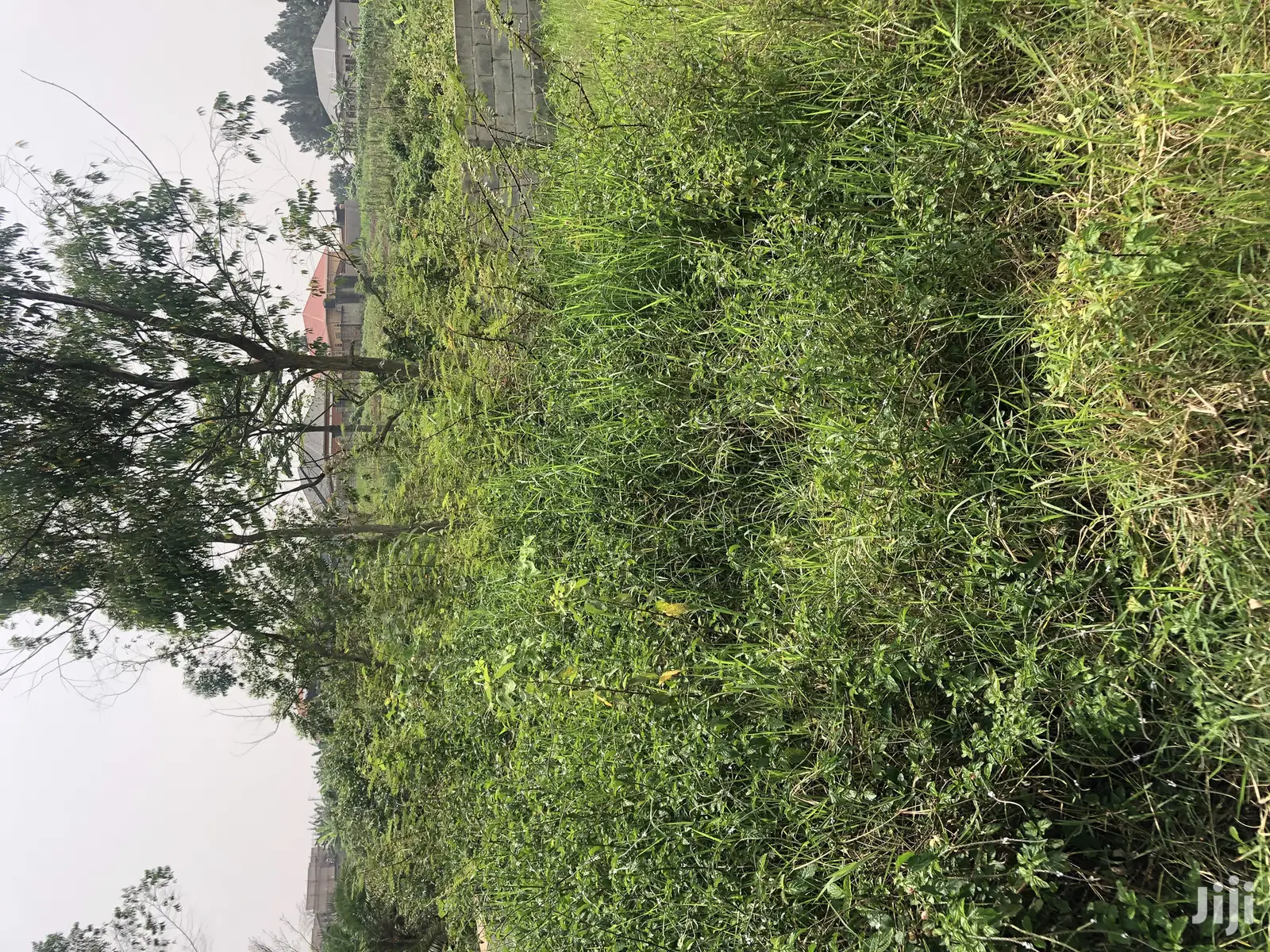 Kira Kimwani 25 Decimals Near Tarmack , Quick Sale in Kampala