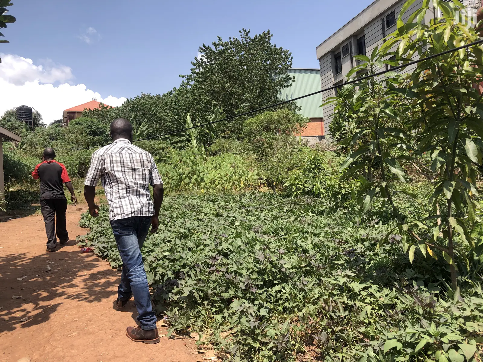 Kira Kimwani 25 Decimals Close to Tarmack on Sale in Kampala