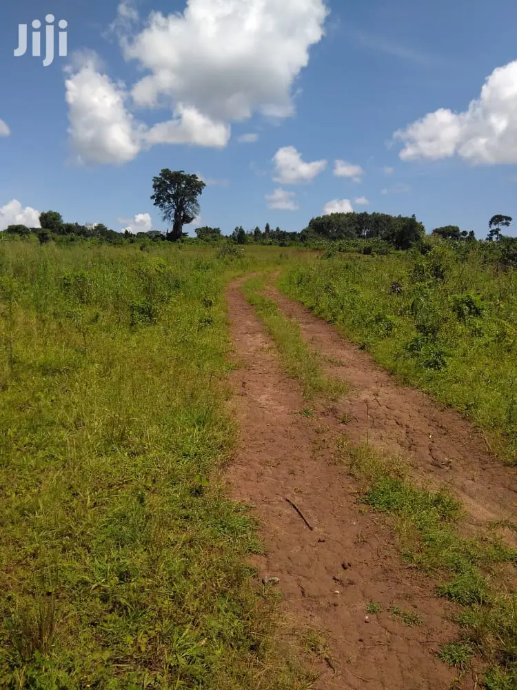 Plots Is Available for Sale in Magere in Division A