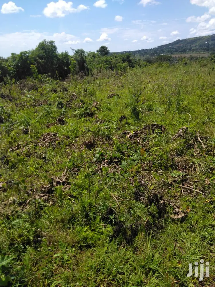 Plots Is Available for Sale in Magere in Division A