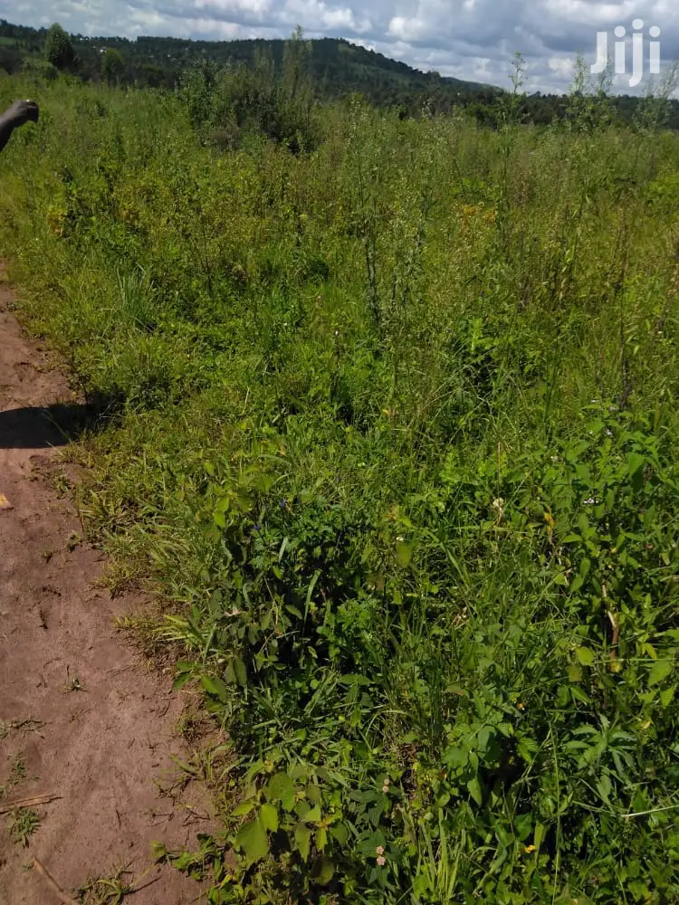 Plots Is Available for Sale in Magere in Division A