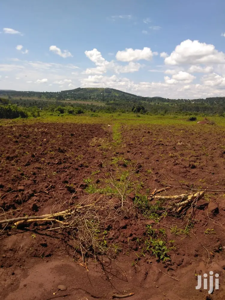 Plots Is Available for Sale in Magere in Division A