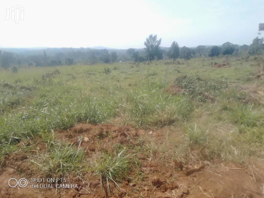 Plots Is Available for Sale in Namugongo Nabusugwe in Kampala