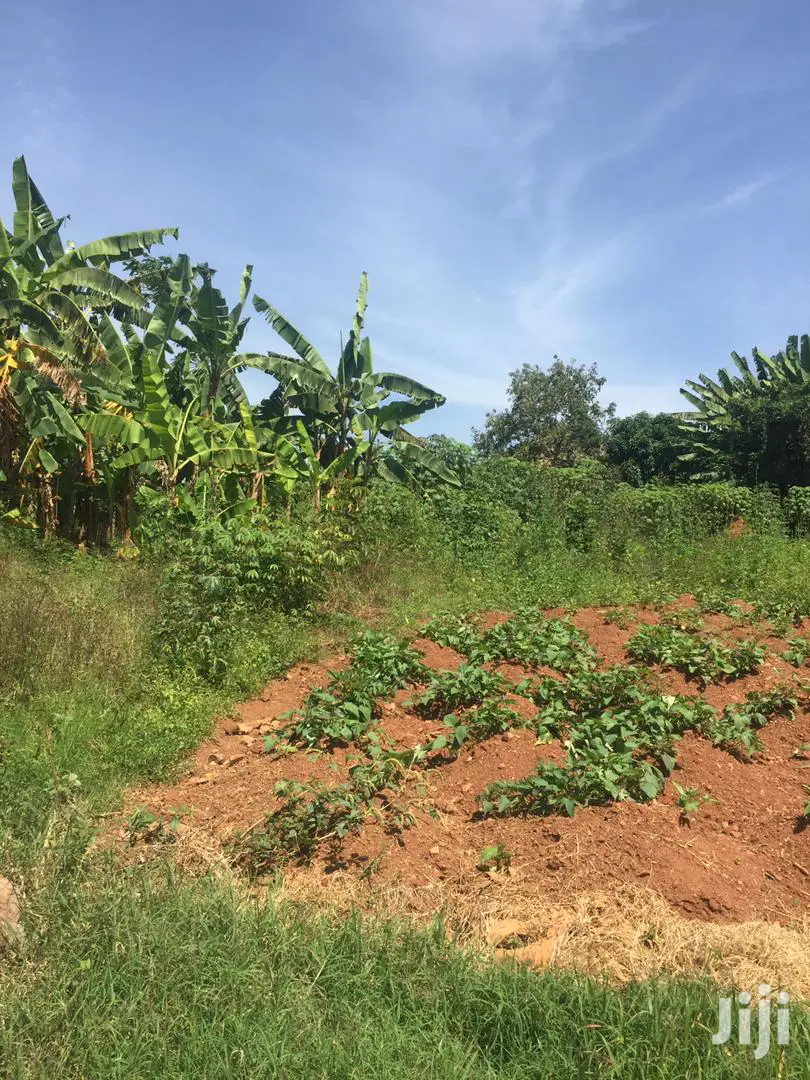 Plots Is Available for Sale in Kungu in Kampala