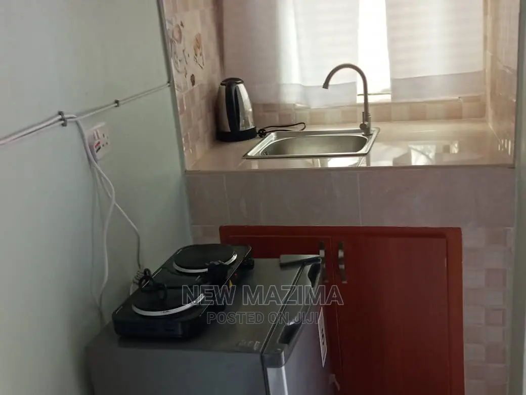 Fully Furnished Studio Apartments In Makindye For Rent in Kampala