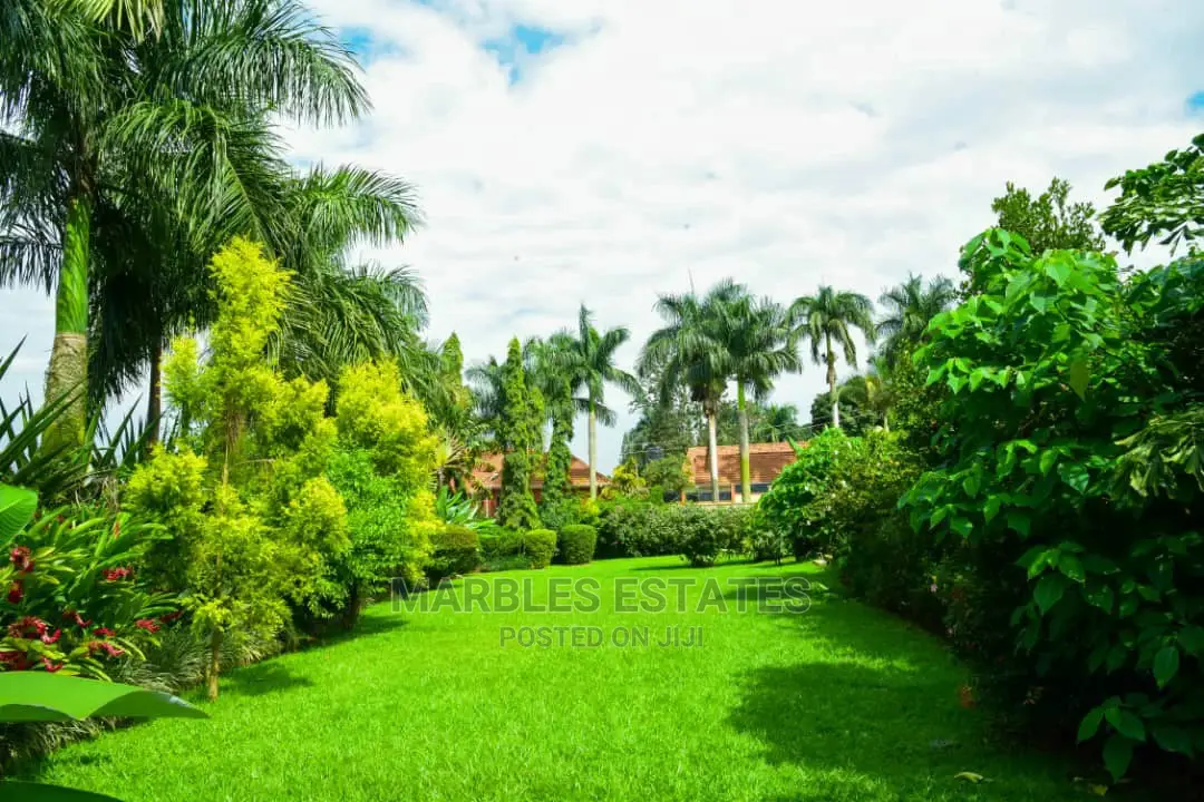 Fully Furnished House for Rent in Naguru in Kampala