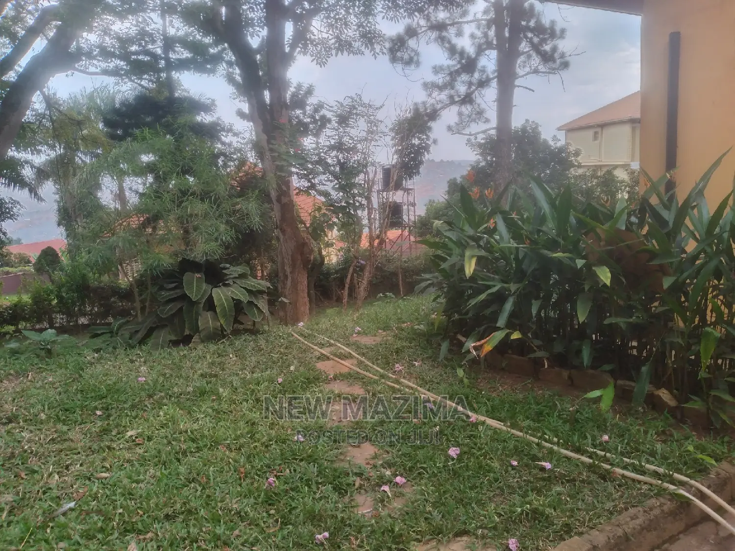 4bdrm Bungalow in Kizungu, Makindye for rent in Makindye